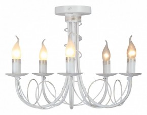 Люстра на штанге Vitaluce V3035 V3035-0/5PL в Губкинском - gubkinskiy.ok-mebel.com | фото 2