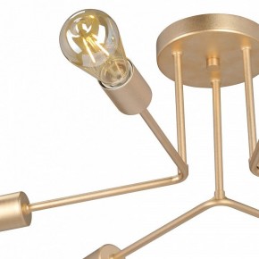 Люстра на штанге Vitaluce V3071 V3071-8/6PL в Губкинском - gubkinskiy.ok-mebel.com | фото 6