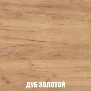 МСП-1 Шкаф 2-х створчатый (Дуб Золотой/Камень темный) в Губкинском - gubkinskiy.ok-mebel.com | фото 4