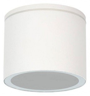 Накладной светильник Arte Lamp Piautos A1913PF-1WH в Губкинском - gubkinskiy.ok-mebel.com | фото