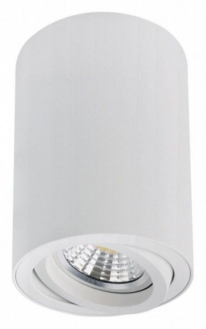 Накладной светильник Arte Lamp Sentry A1566PL-1WH в Губкинском - gubkinskiy.ok-mebel.com | фото