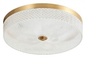 Накладной светильник Arti Lampadari Viro Viro L 1.13.35x9 G в Губкинском - gubkinskiy.ok-mebel.com | фото