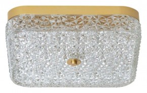 Накладной светильник Arti Lampadari Viro Viro L 1.13.36x36 G в Губкинском - gubkinskiy.ok-mebel.com | фото