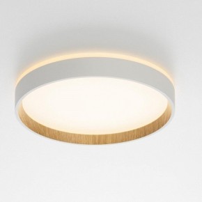 Накладной светильник Citilux Etalon CL750240 в Губкинском - gubkinskiy.ok-mebel.com | фото 12