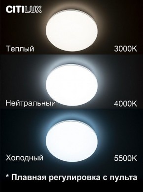 Накладной светильник Citilux Симпла CL714330G в Губкинском - gubkinskiy.ok-mebel.com | фото 4