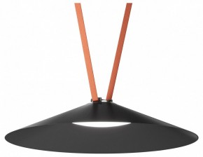 Накладной светильник Denkirs Belty Flow DK5568-BK в Губкинском - gubkinskiy.ok-mebel.com | фото 2