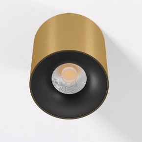 Накладной светильник Elektrostandard Primo 25116/LED в Губкинском - gubkinskiy.ok-mebel.com | фото 2