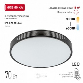 Накладной светильник Эра Классик SPB-6-70-RC Liburn в Губкинском - gubkinskiy.ok-mebel.com | фото 10