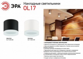 Накладной светильник Эра OL17 GX53 BK Б0049028 в Губкинском - gubkinskiy.ok-mebel.com | фото 3
