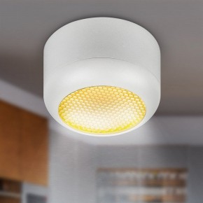 Накладной светильник Эра  OL56 WH в Губкинском - gubkinskiy.ok-mebel.com | фото 8