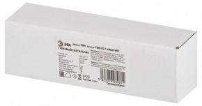 Накладной светильник Эра  TRM-S5-1-6W4K-WH в Губкинском - gubkinskiy.ok-mebel.com | фото 6