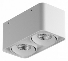 Накладной светильник Lightstar Monocco 052126-IP65 в Губкинском - gubkinskiy.ok-mebel.com | фото
