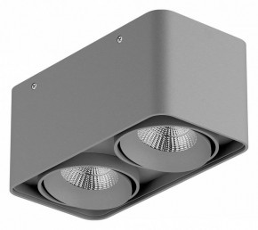 Накладной светильник Lightstar Monocco 052129-IP65 в Губкинском - gubkinskiy.ok-mebel.com | фото