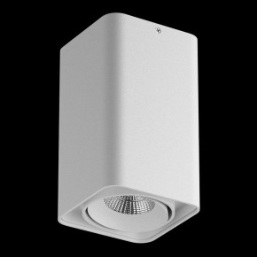 Накладной светильник Lightstar Monocco 052136-IP65 в Губкинском - gubkinskiy.ok-mebel.com | фото 2