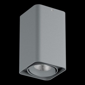 Накладной светильник Lightstar Monocco 052139-IP65 в Губкинском - gubkinskiy.ok-mebel.com | фото 2