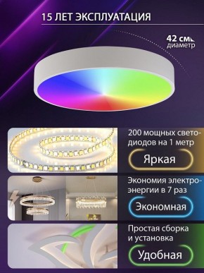 Накладной светильник Natali Kovaltseva MODERN LED LAMPS 81105/1C в Губкинском - gubkinskiy.ok-mebel.com | фото 6