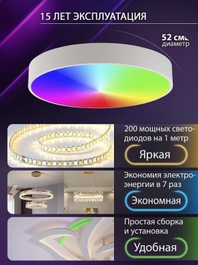 Накладной светильник Natali Kovaltseva MODERN LED LAMPS 81105/2C в Губкинском - gubkinskiy.ok-mebel.com | фото 6