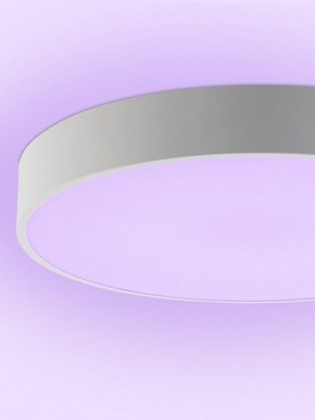 Накладной светильник Natali Kovaltseva MODERN LED LAMPS 81105/2C в Губкинском - gubkinskiy.ok-mebel.com | фото 9
