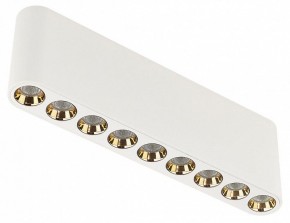 Накладной светильник Odeon Light Small 7091/21CL в Губкинском - gubkinskiy.ok-mebel.com | фото