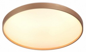 Накладной светильник Sonex Gaby 7783/EL в Губкинском - gubkinskiy.ok-mebel.com | фото 5