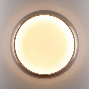 Накладной светильник Sonex PORTMAN 7777/DLN в Губкинском - gubkinskiy.ok-mebel.com | фото 6