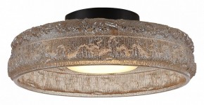 Накладной светильник ST-Luce ANTIKE SL6143.422.01 в Губкинском - gubkinskiy.ok-mebel.com | фото 3