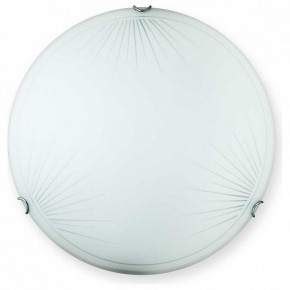 Накладной светильник TopLight Wifa TL9142Y-00WH в Губкинском - gubkinskiy.ok-mebel.com | фото