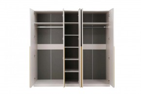 НИКОЛЬ 25 Шкаф 5-ти створчатый в Губкинском - gubkinskiy.ok-mebel.com | фото 3