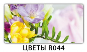 Обеденный раздвижной стол Бриз с фотопечатью Цветы R044 в Губкинском - gubkinskiy.ok-mebel.com | фото 11