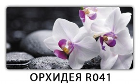 Обеденный раздвижной стол Бриз с фотопечатью Цветы R044 в Губкинском - gubkinskiy.ok-mebel.com | фото 14
