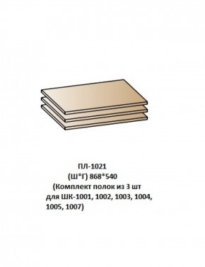 ПЛ-1021 (Комплект полок из 3 шт для ШК-1001, 1002, 1003, 1004, 1005, 1007) в Губкинском - gubkinskiy.ok-mebel.com | фото