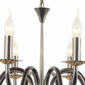 Подвесная люстра Arti Lampadari Pontone Pontone E 1.1.8 PB в Губкинском - gubkinskiy.ok-mebel.com | фото 3