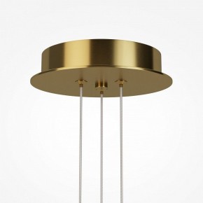Подвесная люстра Maytoni Arana MOD401PL-L108BS3K в Губкинском - gubkinskiy.ok-mebel.com | фото 7