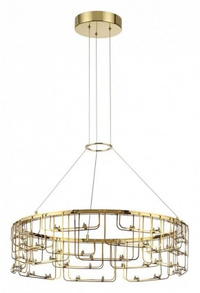 Подвесная люстра Odeon Light ZAHA 7060/44L в Губкинском - gubkinskiy.ok-mebel.com | фото 2