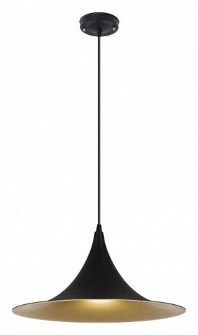Подвесной светильник Arte Lamp Carmel A7080SP-1BK в Губкинском - gubkinskiy.ok-mebel.com | фото 2