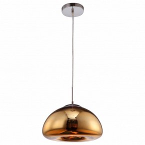 Подвесной светильник Arte Lamp Swift A8041SP-1GO в Губкинском - gubkinskiy.ok-mebel.com | фото 2
