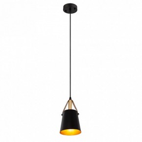 Подвесной светильник Arte Lamp Thomas A7032SP-1BK в Губкинском - gubkinskiy.ok-mebel.com | фото 3