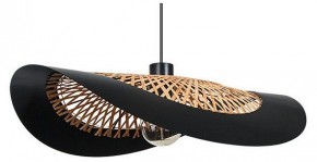 Подвесной светильник Arte Lamp Woodstock A7059SP-1BK в Губкинском - gubkinskiy.ok-mebel.com | фото