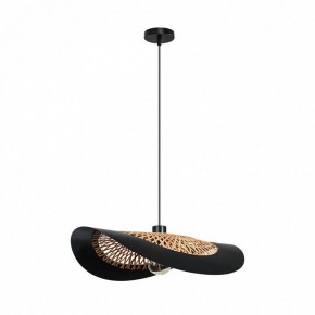 Подвесной светильник Arte Lamp Woodstock A7059SP-1BK в Губкинском - gubkinskiy.ok-mebel.com | фото 2