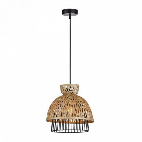 Подвесной светильник Arte Lamp Woodstock A7070SP-1BK в Губкинском - gubkinskiy.ok-mebel.com | фото