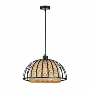 Подвесной светильник Arte Lamp Woodstock A7071SP-1BK в Губкинском - gubkinskiy.ok-mebel.com | фото