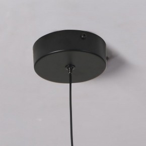 Подвесной светильник Favourite Wilet 4656-1P в Губкинском - gubkinskiy.ok-mebel.com | фото 10