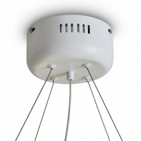 Подвесной светильник Freya Rain FR5546PL-L60W в Губкинском - gubkinskiy.ok-mebel.com | фото 9