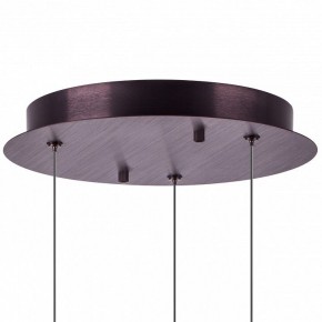 Подвесной светильник Lightstar Caramello 796139 в Губкинском - gubkinskiy.ok-mebel.com | фото 13