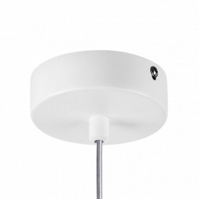 Подвесной светильник Lightstar Rocco 793136 в Губкинском - gubkinskiy.ok-mebel.com | фото 10