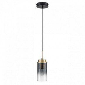 Подвесной светильник Lumion Isha 8101/1A в Губкинском - gubkinskiy.ok-mebel.com | фото 3
