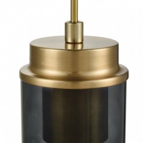 Подвесной светильник Lumion Isha 8101/1A в Губкинском - gubkinskiy.ok-mebel.com | фото 7