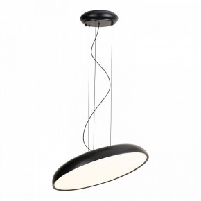 Подвесной светильник Lussole Crook LSP-7360 в Губкинском - gubkinskiy.ok-mebel.com | фото 2