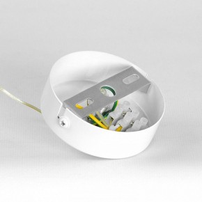 Подвесной светильник Lussole Gregg LSP-8965 в Губкинском - gubkinskiy.ok-mebel.com | фото 7