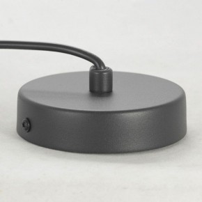 Подвесной светильник Lussole LSP-849 LSP-8490 в Губкинском - gubkinskiy.ok-mebel.com | фото 6